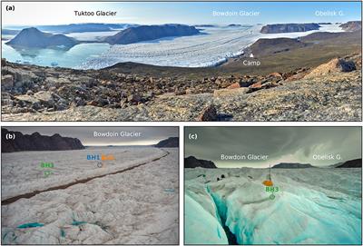 Englacial Warming Indicates Deep Crevassing in Bowdoin Glacier, Greenland